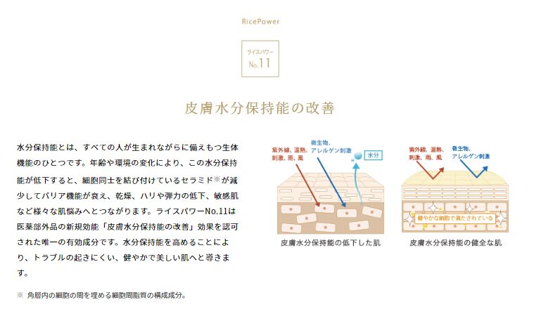 ライスパワーエキス