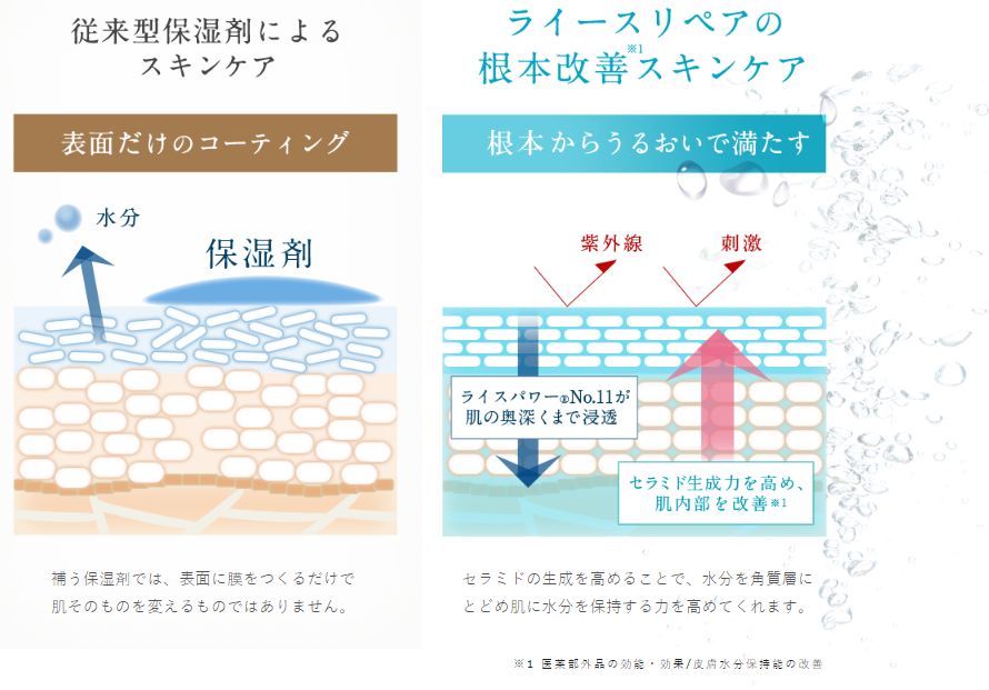 ライスパワー水分